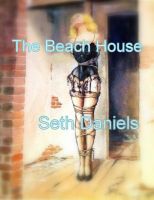 Cover for 'Return to the Beach House'