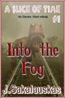 Cover for 'Into the Fog'