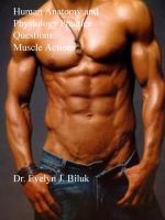 Cover for 'Human Anatomy and Physiology Practice Questions: Muscle Actions'