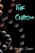 The Chasm by R Michael Torrey