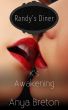 K's Awakening, a Randy's Diner story by Anya Breton