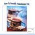 How To Benefit From Green Tea by Barbara West