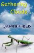 Gathering Clouds... by James Field