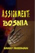 Assignment: Bosnia by Barry Friedman