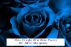One Single Blue Rose by Marie  Montgomery