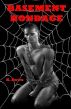 Basement Bondage by K. Rowe