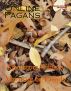 Online Pagans Magazine issue 2 Sept Oct 2010 by Ben Gruagach