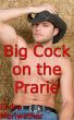 Big Cock on the Prarie by Elvira Meriwether