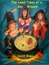 Lewd Tales of a Boy Wizard by David Shaw