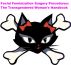Facial Feminization Surgery Procedures: The Transgendered Woman's Handbook by Trinity Rose