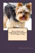 How to Raise and Understand your Yorkshire Terrier Puppy or Dog by Vince Stead