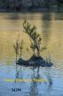 Sow: Poems by Tanya Rucosky Noakes by Tanya Rucosky Noakes