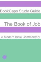 Cover for 'The Book of Job: A Modern Bible Commentary'