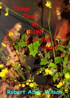 Cover for 'Things That Go Bump! In the 'Hood'