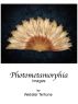 Photometamorphia by Webster Terhune