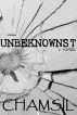 Unbeknownst by Chamsil 