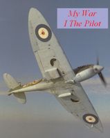 Cover for 'My War:  I  The Pilot'
