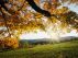 Experience A Walk To Remember by Bianca McClain Miller