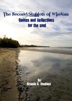 Cover for 'The Second Nuggets of Wisdom'