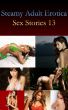 Steamy Erotica Adult Sex Stories 13 by Steamy Sex Stories 