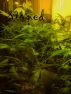 Stoned by Jane Quill