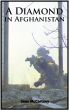 A Diamond in Afghanistan by Sean McCartney
