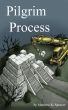 Pilgrim Process by Matthew Spencer