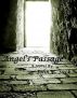 Angel's Passage by John R Sack