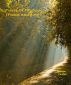 Pieces Of The Soul(Love & Peace) by LeAnn Taylor