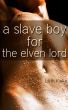 A Slave Boy For the Elven Lord by Lilith Kinke