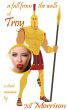 A Fall from the Walls of Troy by Jill Morrison