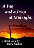 A Pee and a Poop at Midnight by Barry Rachin