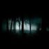 Shadows of Darkness by Thomas Rotella