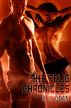 The Felig Chronicles by P. J. Dean