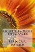 Light through the Cracks by Rebecca Raymer