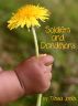 Soldiers and Dandelions by Tessa Jones