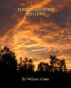 Furious Goodness and Light by William Green