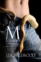 Cover for 'M-Squared: a Collection of Gay Erotica by Leigh Ellwood'