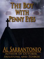 Cover for 'The Boy With Penny Eyes'
