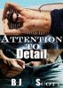 Attention to Detail by B.K. Wright