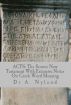 ACTS: The Source New Testament with Extensive Notes on Greek Word Meaning by Dr A. Nyland