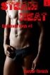 Steam Heat (Bareback Boys #1) by Harper Thrush