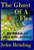 The Ghost Of A Flea by John Brinling