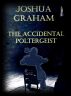 The Accidental Poltergeist by Joshua Graham