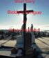 Short Story - Biddy's Tongue by Brian Comerford
