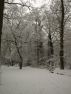 White Christmas - a short story by EH Walter