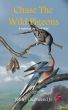 Chase The Wild Pigeons: A novel of the Civil War by John  J. Gschwend Jr.