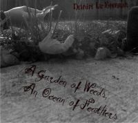Cover for 'A Garden of Weeds, an Ocean of Feathers'