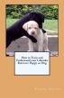 How to Train and Understand your Labrador Retriever Puppy or Dog by Vince Stead