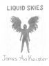 Liquid skies by James Aa. Keister